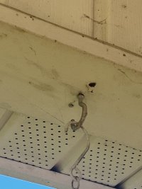 IMG 0095
