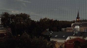 IMG 7132