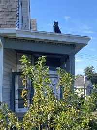 IMG_2777.jpeg