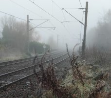Foggy dayss