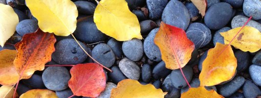 Autumnleaves