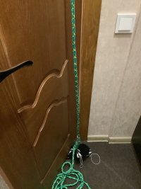 IMG_2226.jpeg