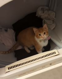 Screenshot 20251022 160942Instagram