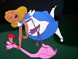 7e62c8bcccdee41cd276797c5332e2d5