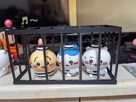 SGCAM 20250210 220123621