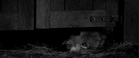 F6988b393f57c86e774a64fcad2c083812734951 hq