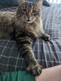 WhatsApp Image 2025 10 25 at 051817 6b6d7533