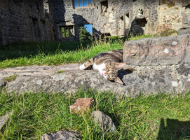 Screenshot 2025 10 25 162944