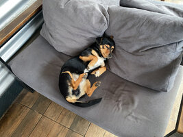 IMG 9781 IMG 9781