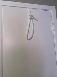 IMG_6444.jpeg