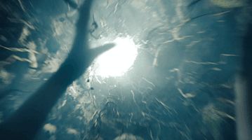 Tumblr inline p9wjxkJaO91rr2kf3 500