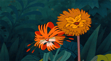 05a85caf48cd51b1f4e6509f40e09964