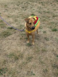 PXL 20250906 165730170 PXL 20250906 165730170