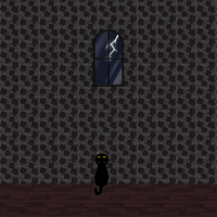 1000052491 1000052491