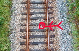 IMG_0981.heic IMG_0981.heic