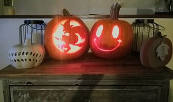 Share8281584969685371304 147853852942656