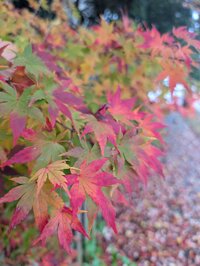 PXL 20251107 165344920