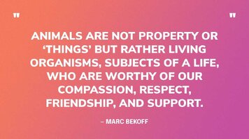 648881cd90978918be1e6530 animal rights quotes respecting 2