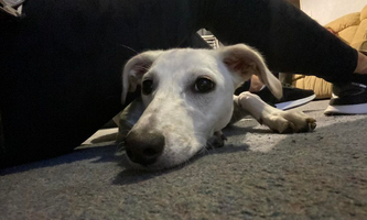 Screenshot from 2022-10-28 23-55-58.png