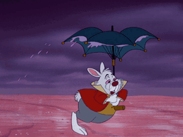 37218573cdff9a17943f76732f852116