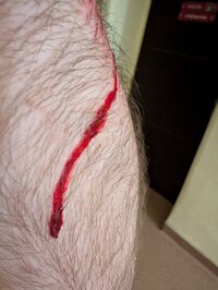 PXL 20251112 201120679MP