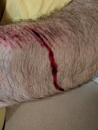 PXL 20251112 201125785MP