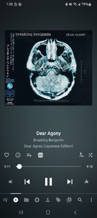 Screenshot 20251113 010010 Musicolet