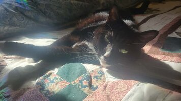 WhatsApp Image 2025 11 14 at 192309 7a257360