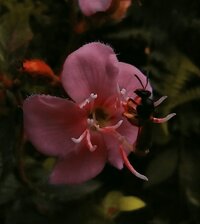 WhatsApp Image 2025 11 14 at 193653