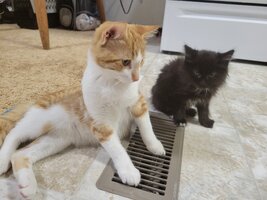 B13a4302 eeeb 46cc b388 b22ddc7e68c2 1 all 923