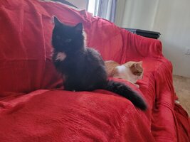 B13a4302 eeeb 46cc b388 b22ddc7e68c2 1 all 1008