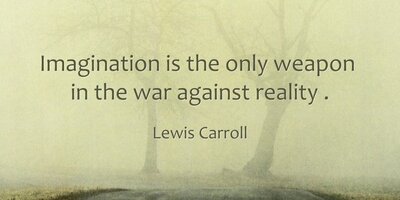 Imagination is the only weapon in the war against reality 