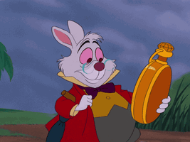 Tumblr 3948fafc89fe63d37c8982fc821fd79a 5de80432 500