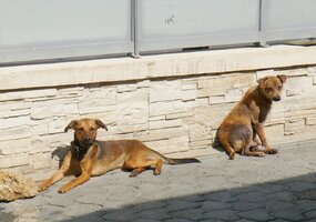 3 318899 7567 full 14480737