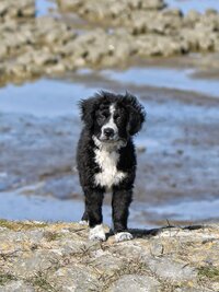 41f120c355e0546a988c77fbf47df12a