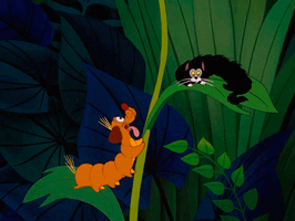 F010d7f103ee01fe99219a1162bfeda0