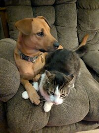 PXL 20251123 042220011