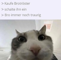 RDT 20250913 2238211893005796403466452