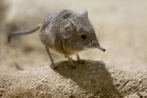 04009871b292ac70888af8677ad0aec6