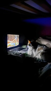 Still birdwatching.jpg