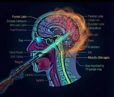 Screenshot 20251130 150208865 1