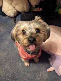 215030 PXL 20241110 170710882