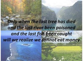 8c479206b20e48bcb08a305b6d2245d3