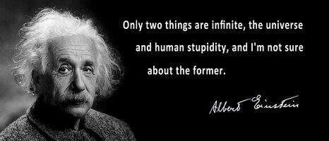 Albert einstein speaks about human stupidity daniel hagerman