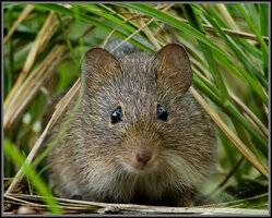 3801404716 47c7811674 z