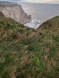 cliffs4-min.jpg