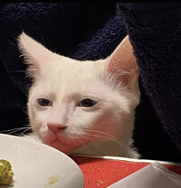 Tumblr 2dd4b60c9d871d975cff2bac1aef1ead 91a2a5ad 1280