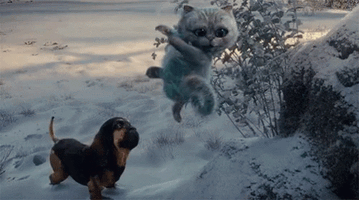 Alice in wonderland wonderland