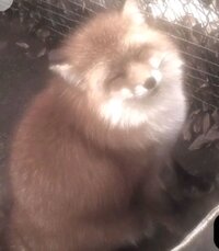 IMG 20251217 012312 1765931037769