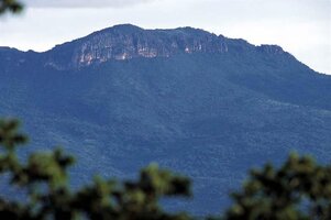 F458006bd2c4aac8bcb1aa4f1017cbab